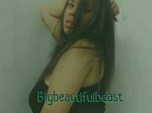 Bigbeautifulbeast