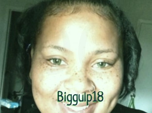 Biggulp18