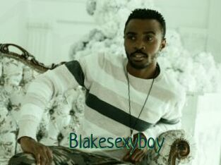 Blakesexyboy