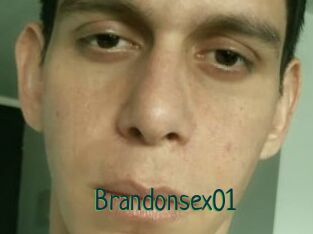 Brandonsex01