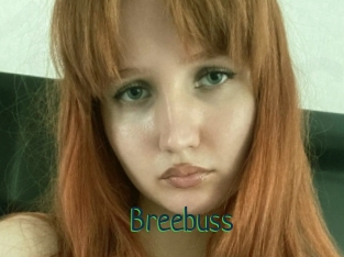 Breebuss