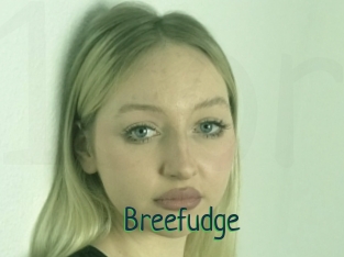 Breefudge