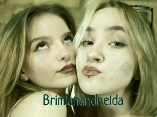 Brimlanandnelda