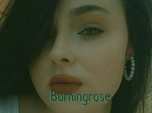 Burningrose