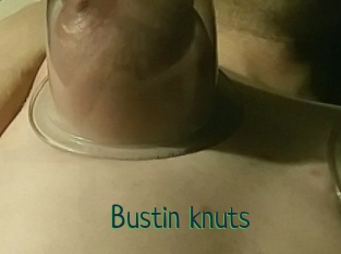 Bustin_knuts