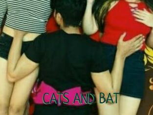 CATS_AND_BAT