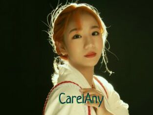 CarelAny