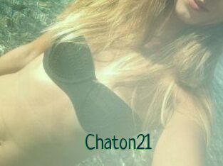 Chaton21