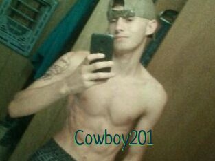 Cowboy201