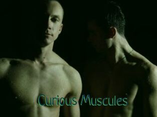 Curious_Muscules