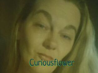 Curiousflower