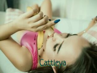 _Cattleya