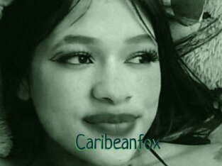 Caribeanfox