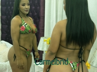 Carmelbrid