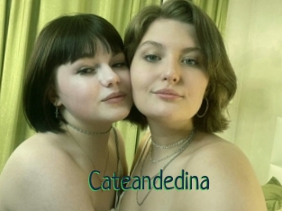 Cateandedina