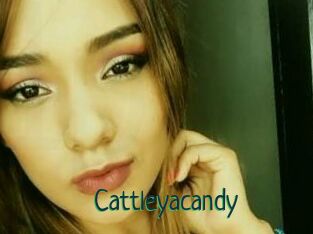 Cattleyacandy