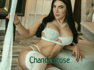 Chandrelrose