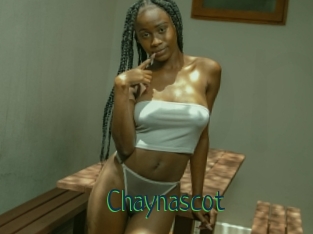 Chaynascot