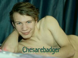 Chesarebadger