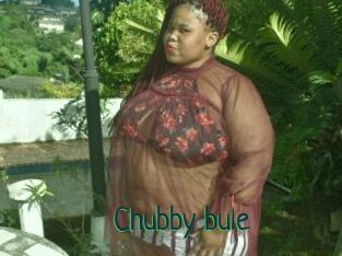 Chubby_bule