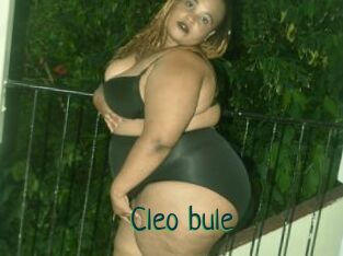 Cleo_bule