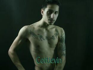 Coltlevin