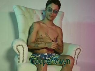 Cooperlewyn