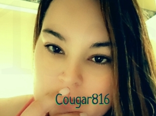 Cougar816