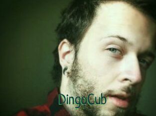 DingoCub