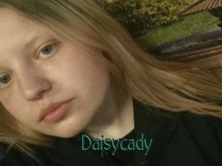 Daisycady