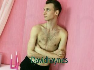 Davidhaynes