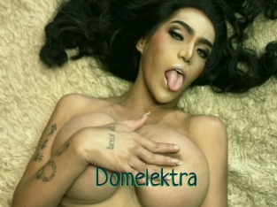 Domelektra