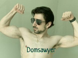 Domsawyer