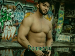 Donmerlin