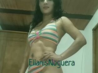 ElianisNoguera