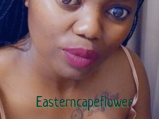 Easterncapeflower