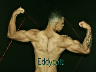 Eddycolt