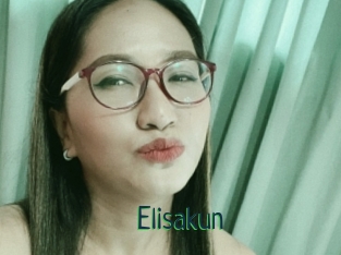 Elisakun