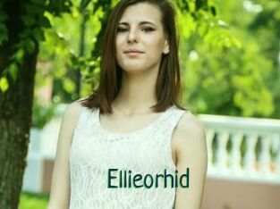 Ellieorhid