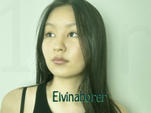 Elvinaborer