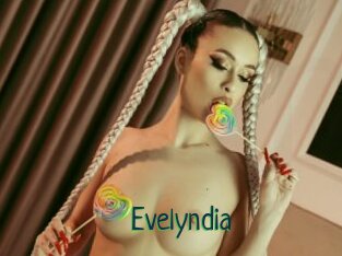 Evelyndia