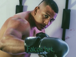 Falcon_hot