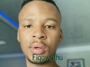 Figowethu