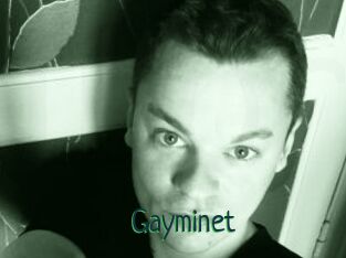 Gayminet