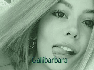 Gallibarbara