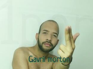 Gavril_morton