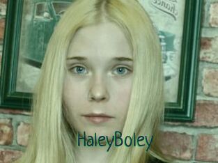 HaleyBoley