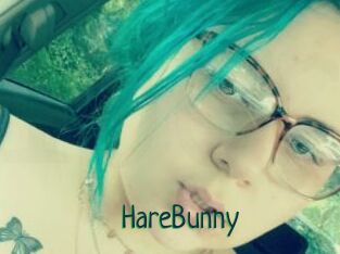 HareBunny