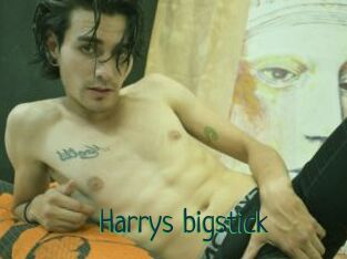 Harrys_bigstick