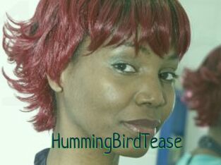 HummingBirdTease